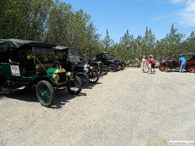 Some of the earliest cars lined up under the trees
