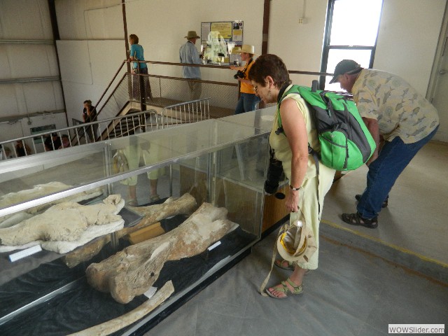 Fran and Bob looking at the displays