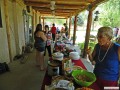 Picnic buffet table setup