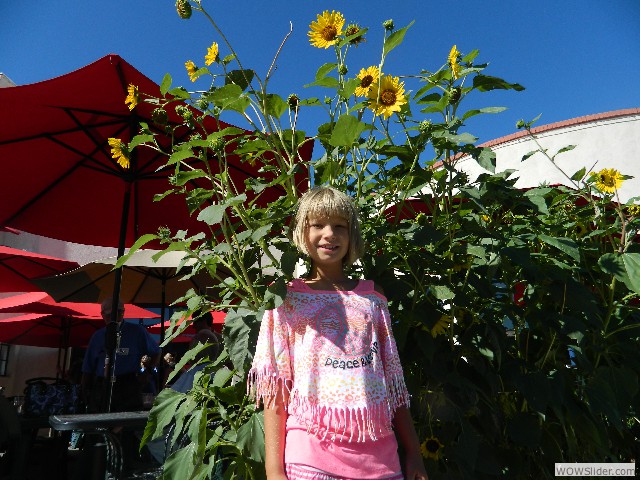 Kass with sunflowers