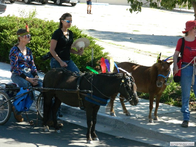 Miniature ponies!