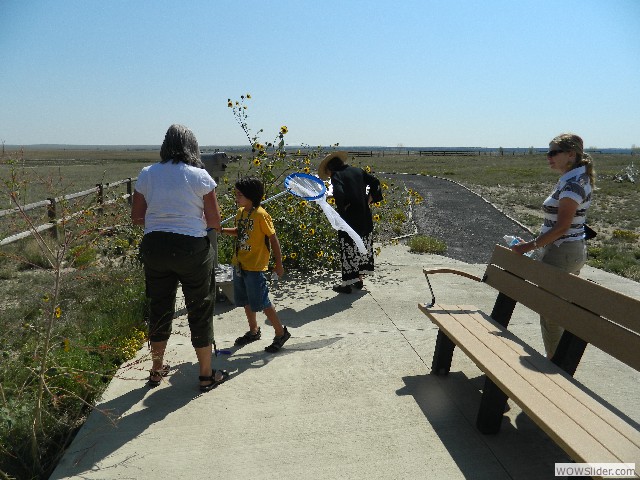 Susan and Tiger were looking for insects to study