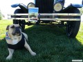 Travelin' Jack - Balloon Museum mascot