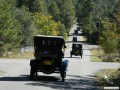 Driving through Sherwood Forest