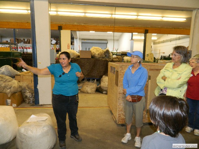 pointing to a huge machine to comb out the wool