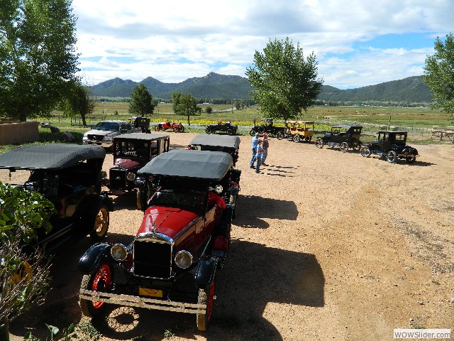 The alpacas and lamas are visible in the fields in the background.