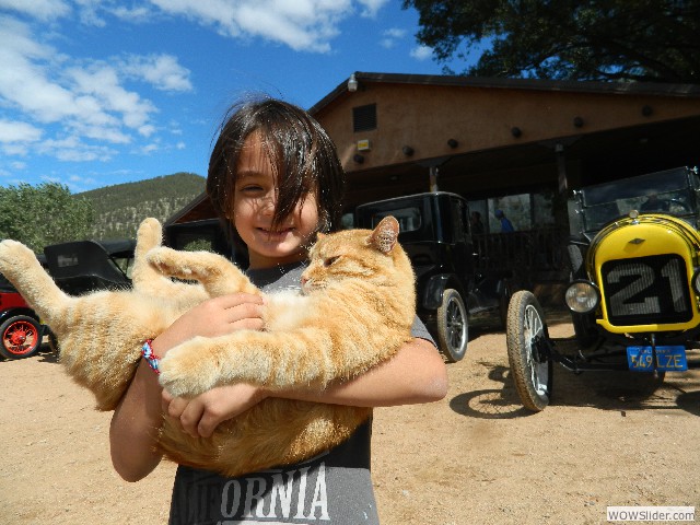 Tiger and his new friend