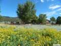 A view toward the store and parking area